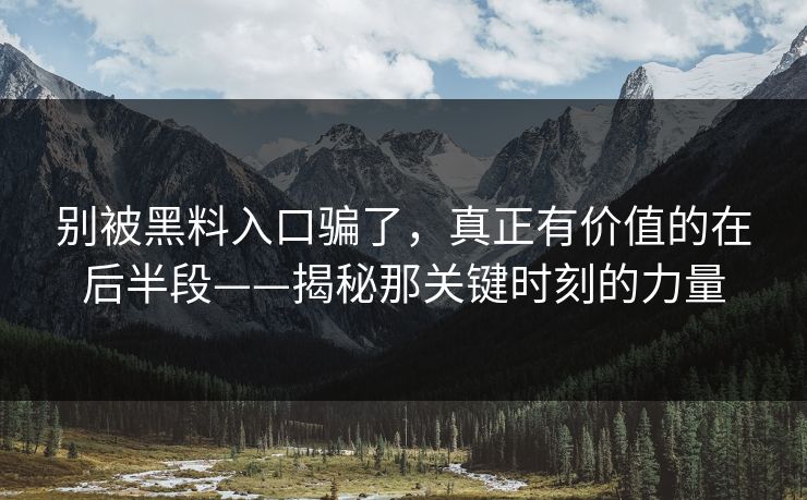 别被黑料入口骗了，真正有价值的在后半段——揭秘那关键时刻的力量  第1张