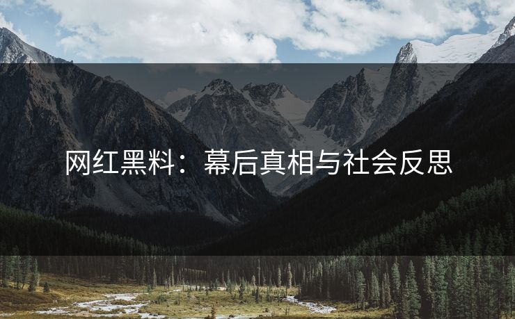 网红黑料：幕后真相与社会反思