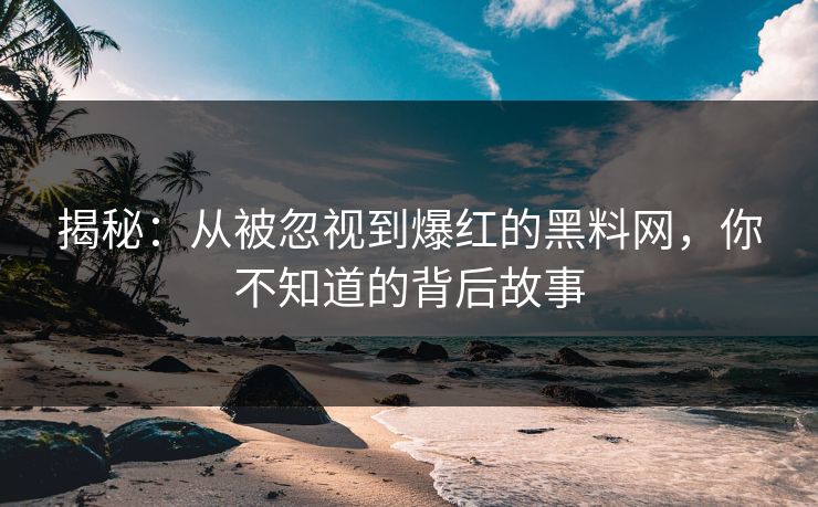 揭秘：从被忽视到爆红的黑料网，你不知道的背后故事