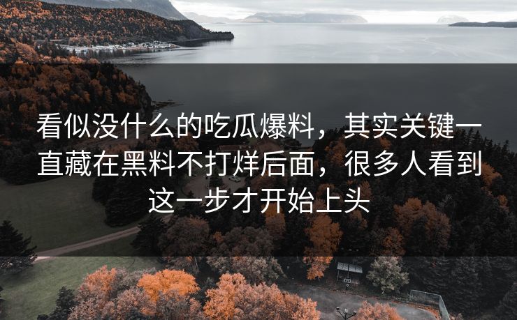 看似没什么的吃瓜爆料，其实关键一直藏在黑料不打烊后面，很多人看到这一步才开始上头