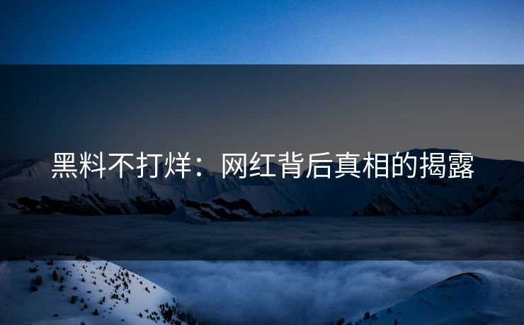 黑料不打烊：网红背后真相的揭露