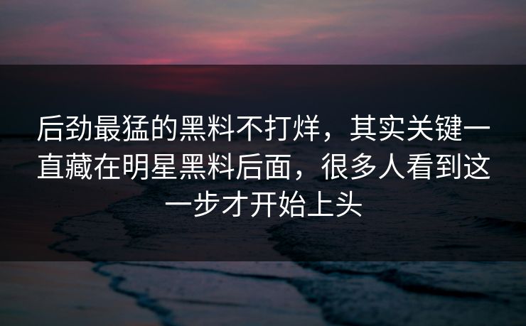 后劲最猛的黑料不打烊，其实关键一直藏在明星黑料后面，很多人看到这一步才开始上头  第1张