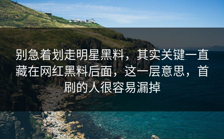 别急着划走明星黑料，其实关键一直藏在网红黑料后面，这一层意思，首刷的人很容易漏掉
