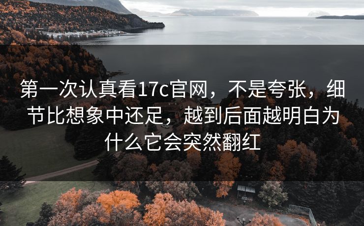 第一次认真看17c官网，不是夸张，细节比想象中还足，越到后面越明白为什么它会突然翻红